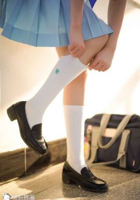 忠诚电视剧20全集完整版免费观看
